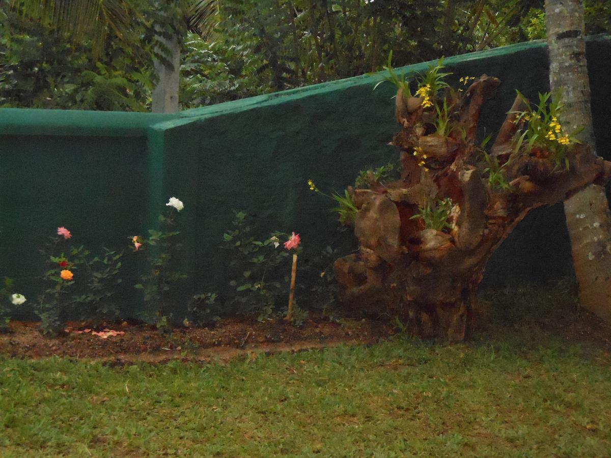Lavender Hills Home Stay Kandy Zewnętrze zdjęcie