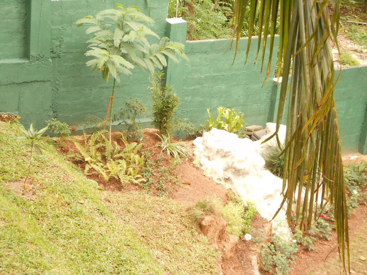 Lavender Hills Home Stay Kandy Zewnętrze zdjęcie